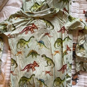 Posh Peanut 2 T dinosaur jammies